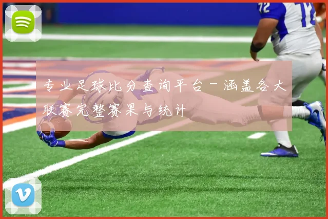 专业足球比分查询平台 - 涵盖各大联赛完整赛果与统计